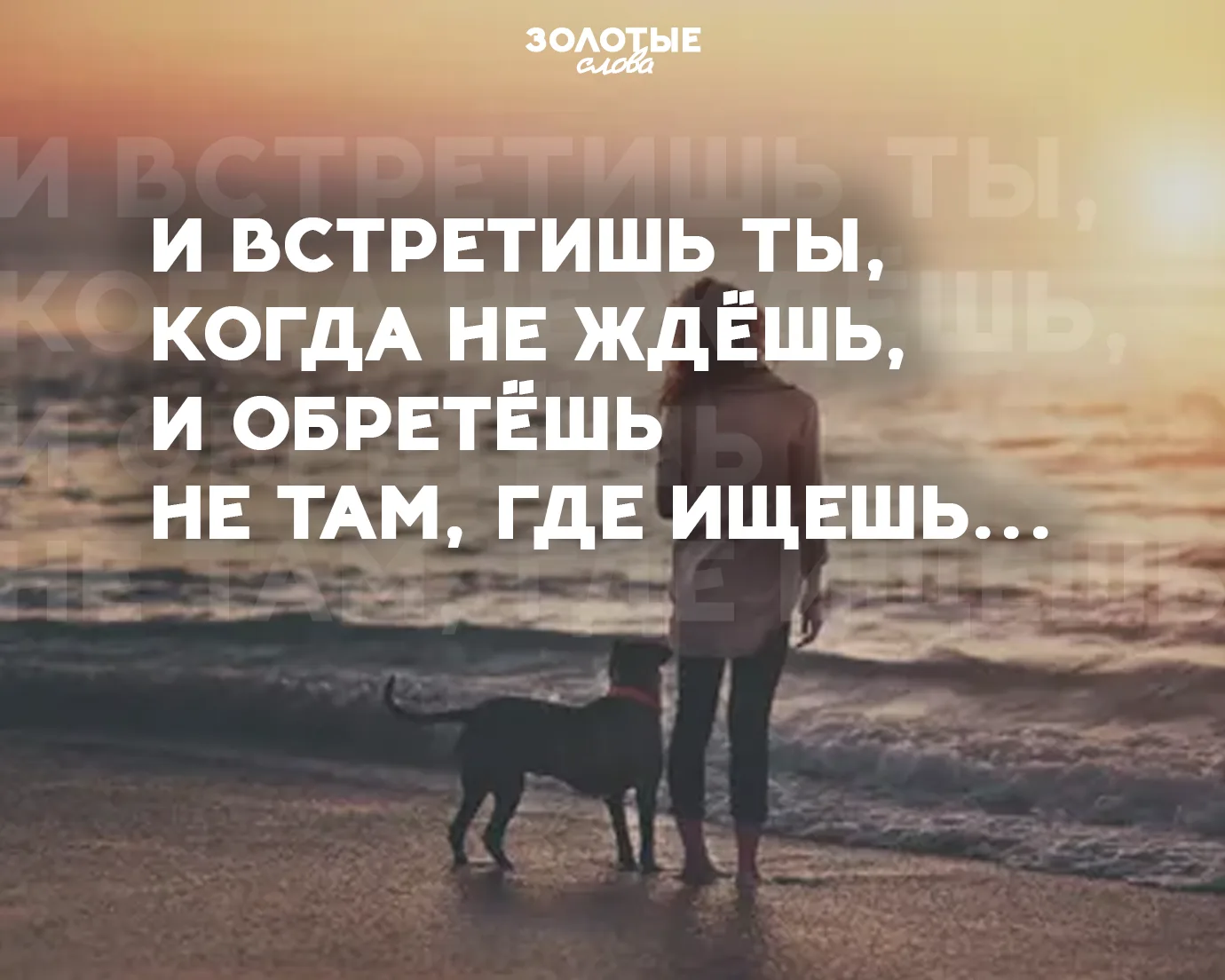 Золотые слова 📜