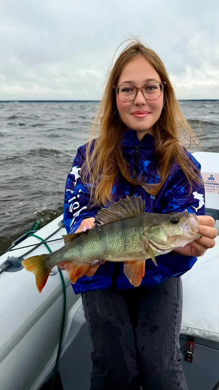 Рекорды сезона! Трофейные окуни-горбачи раздают на Финском заливе🎣

Очередная вылазка за полосатым,