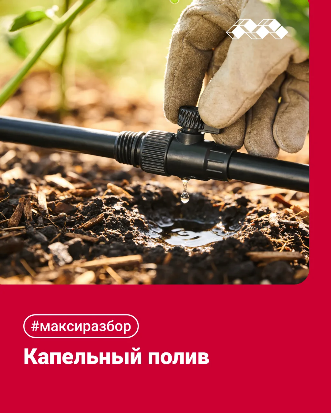 Урожай без хлопот 🌱

Забудьте про лейку и шланг — капельный полив сделает всё за вас! Читайте наш м