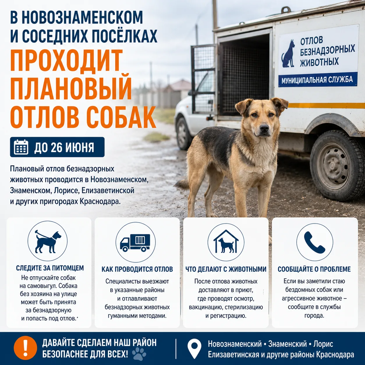 В Новознаменском и соседних посёлках проходит плановый отлов безнадзорных собак
До 26 июня специалис