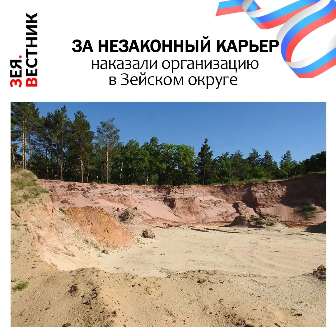 Компания по лесопереработке в Зейском округе нарушила условия аренды лесного участка. Договор растор