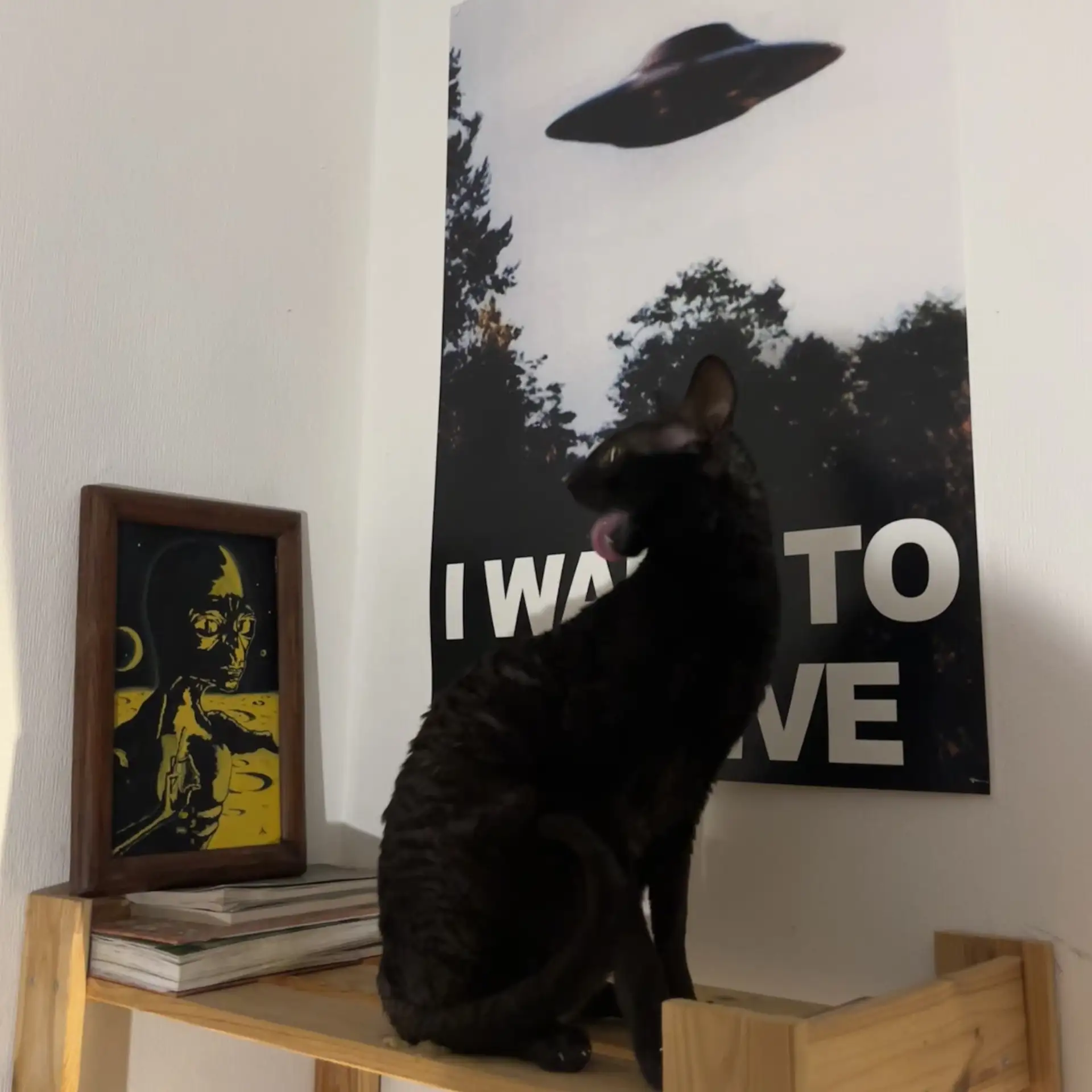 🌱 ПРИШЕЛЬЦЫ
которых Мы заслужили - плохого качества, не прогрузившегося по пикселям.. Какой напраши