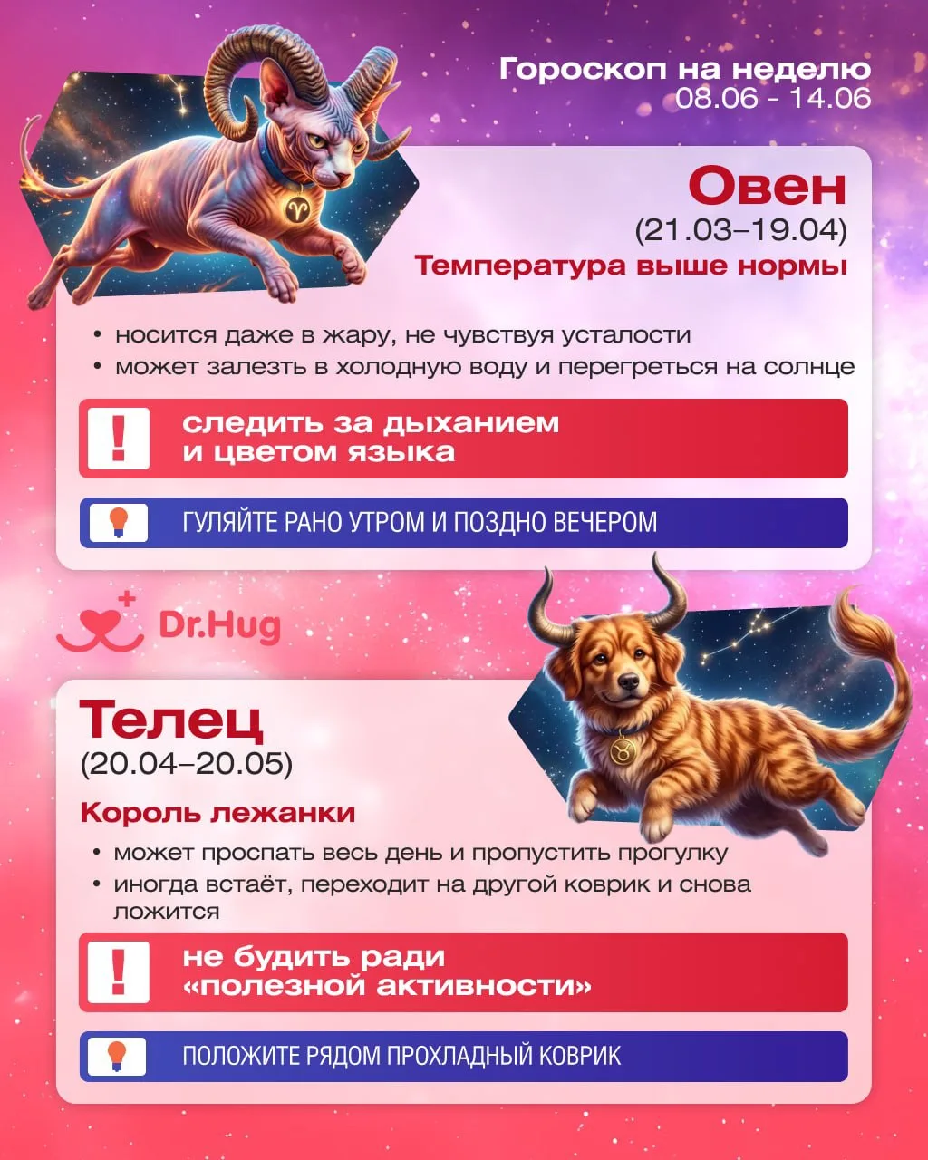🔮 Что звёзды приготовили вашим хвостикам на неделю 08.06–14.06

Совпало? ❤️