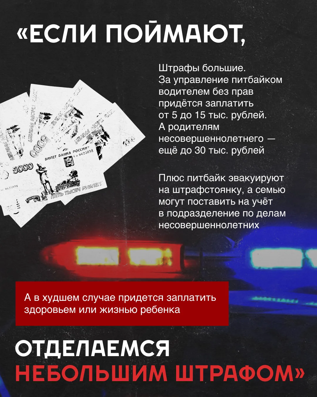 Информация о питбайках. Для использования в работе.