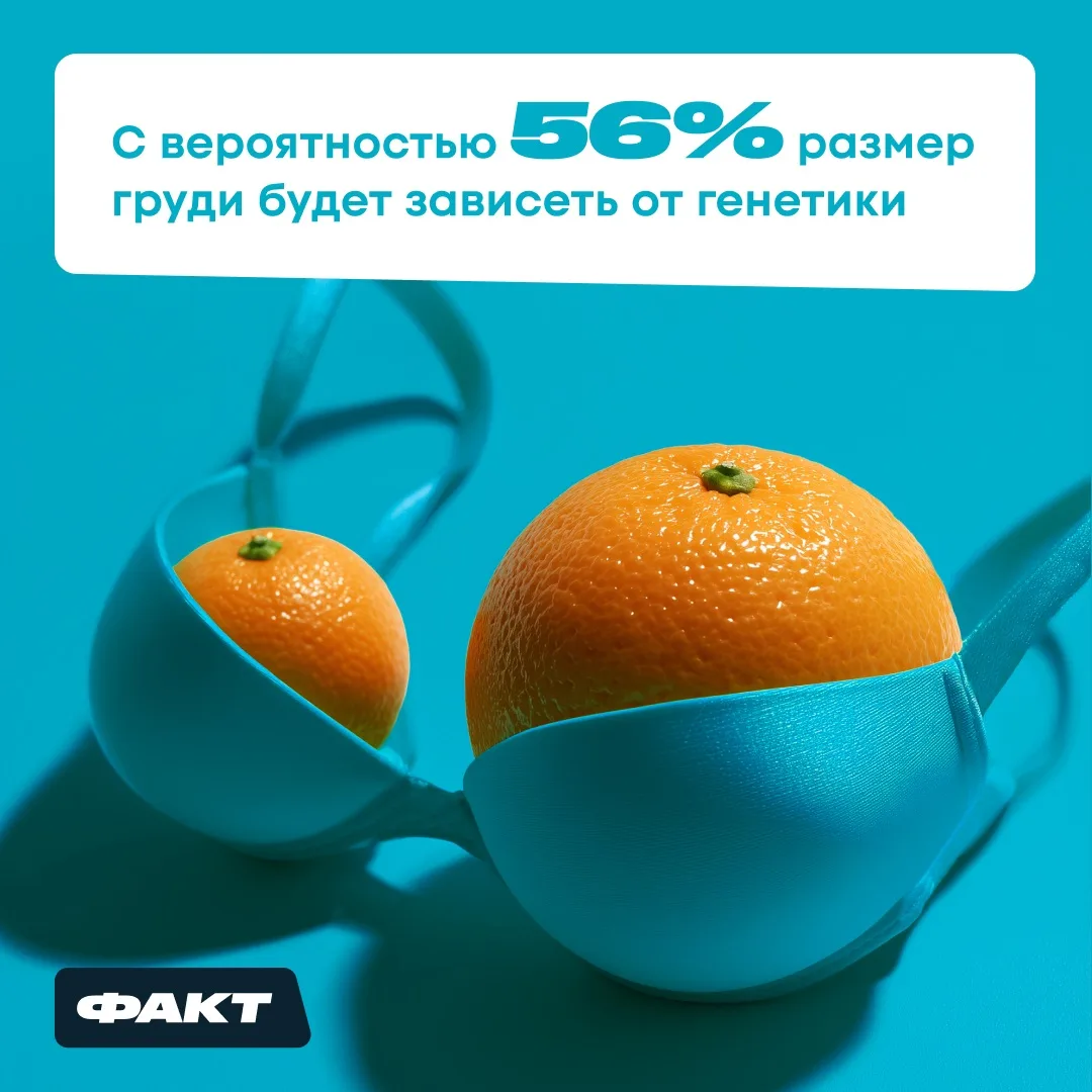 Размер груди — это генетика 🧬 

Ну, почти...

По данным исследований, в которых изучались гены близ