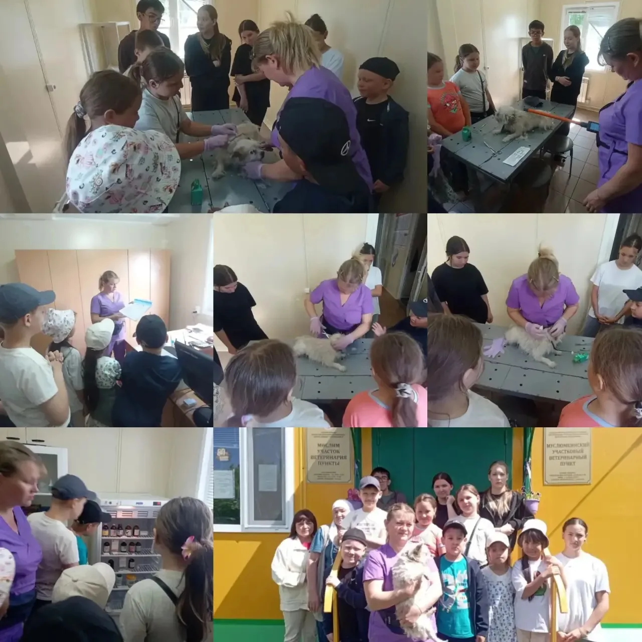 Сегодня для ребят пришкольного лагеря и для любознательных  орлят прошла интересная и познавательная