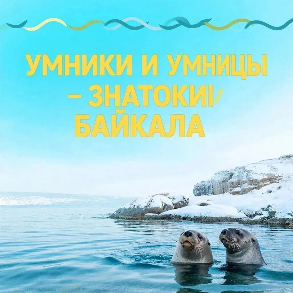 Сегодня в нашем саду, между группами «Малинка» и «Брусничка» проходила увлекательная викторина «Умни