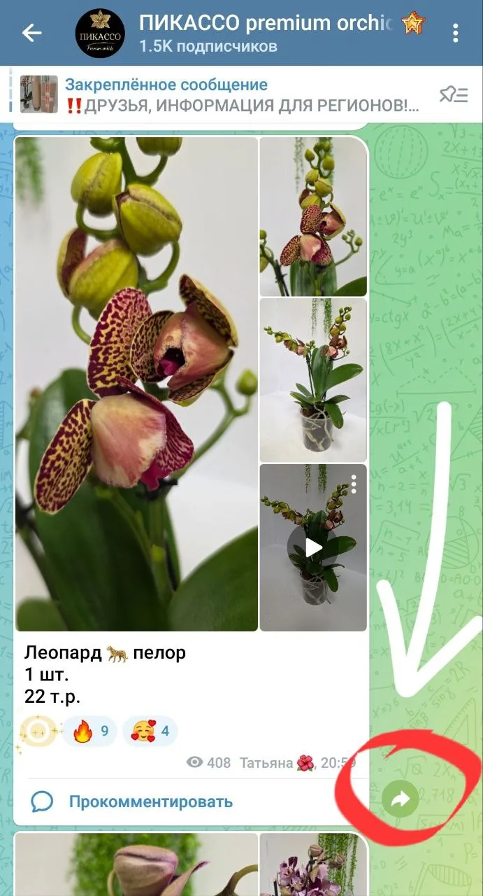 ‼️‼️‼️Дорогие друзья! Все забронированые Вами растения необходимо ПЕРЕСЛАТЬ путем нажатия стрелки, 
