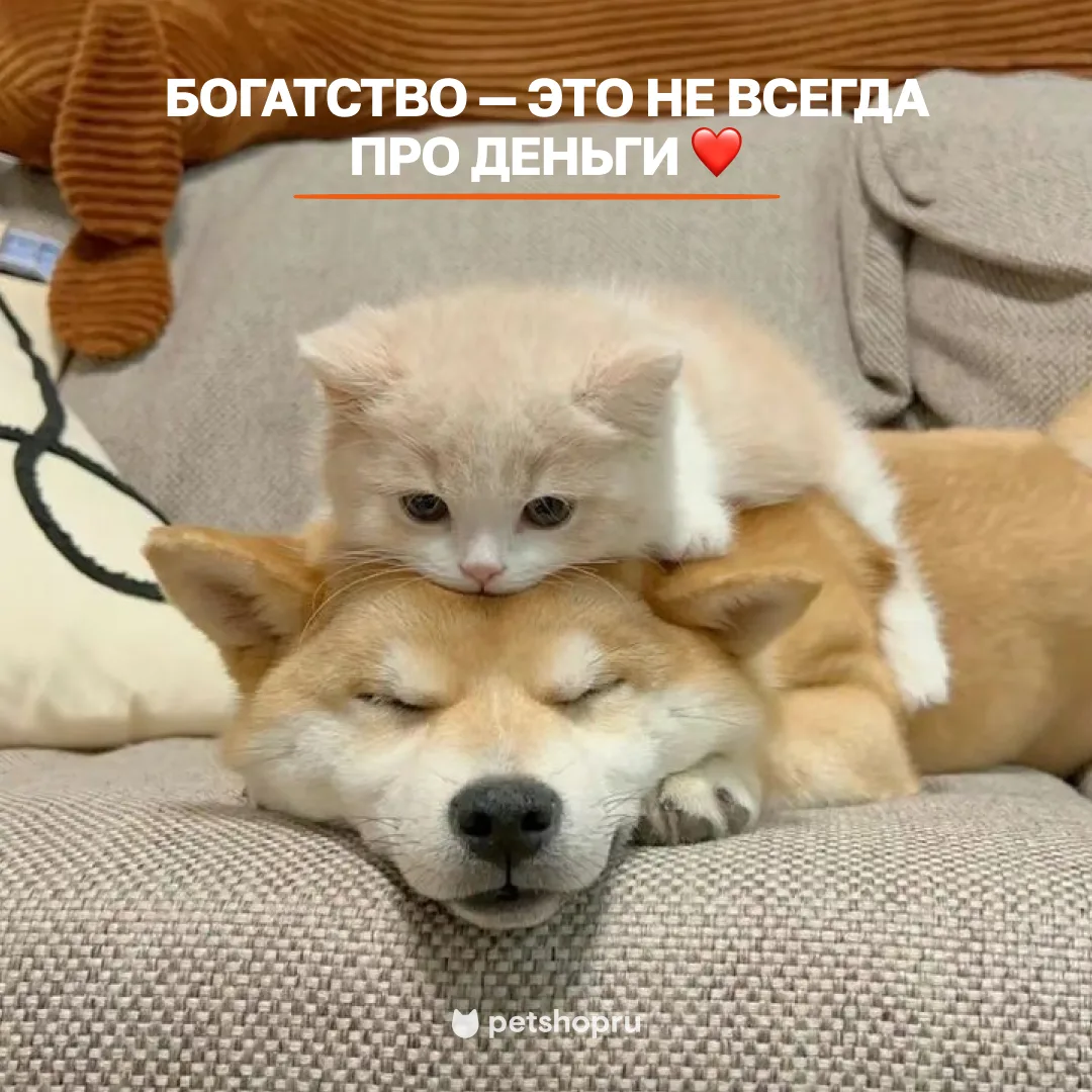 ❤️ — тык от тех, кто согласен!

И для всех, кто любит радовать своих хвостиков, у нас есть промокод 
