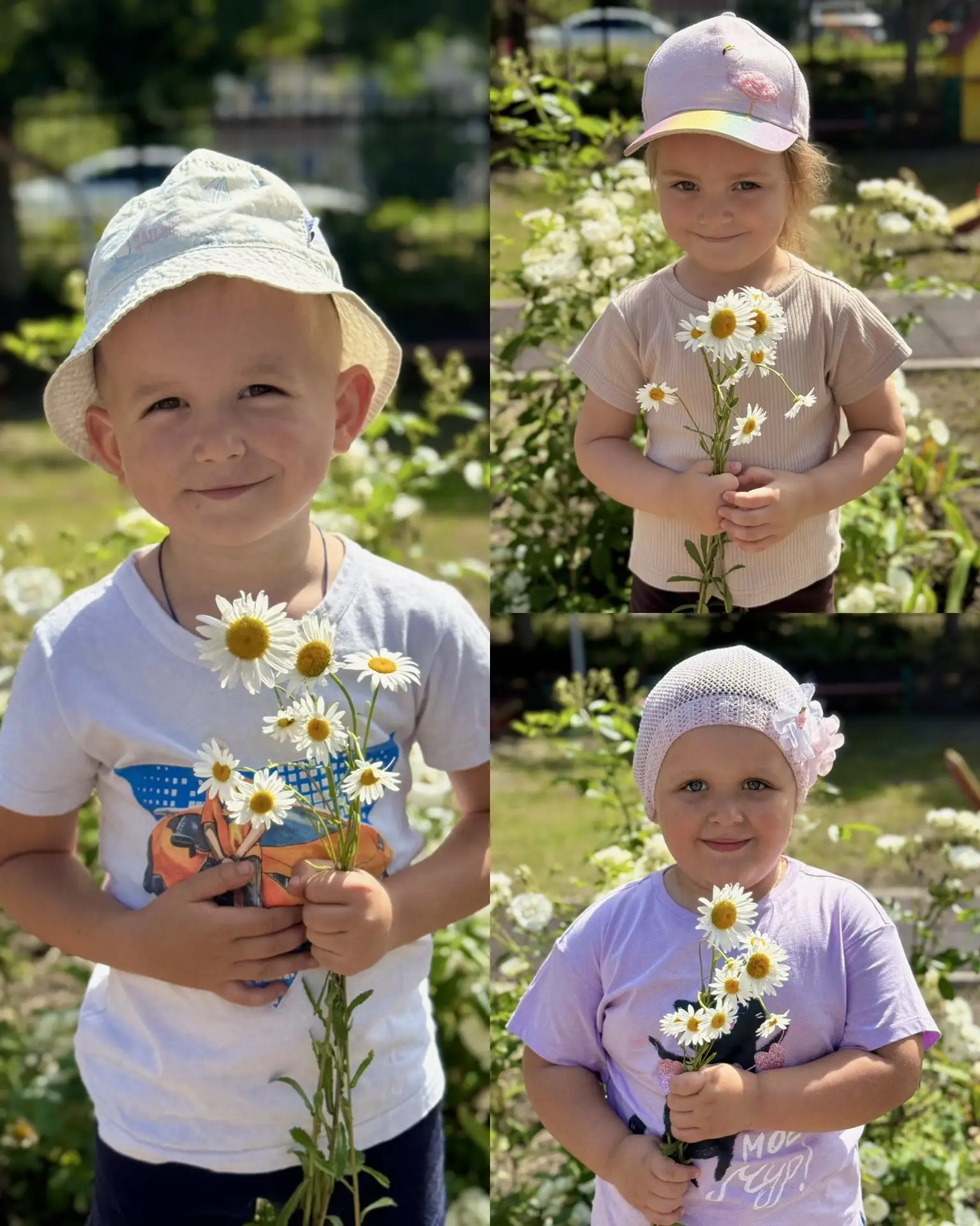 🌼«День ромашек» в нашем детском саду.

24 июня отмечается «День ромашек». 
Этот цветок по праву счи