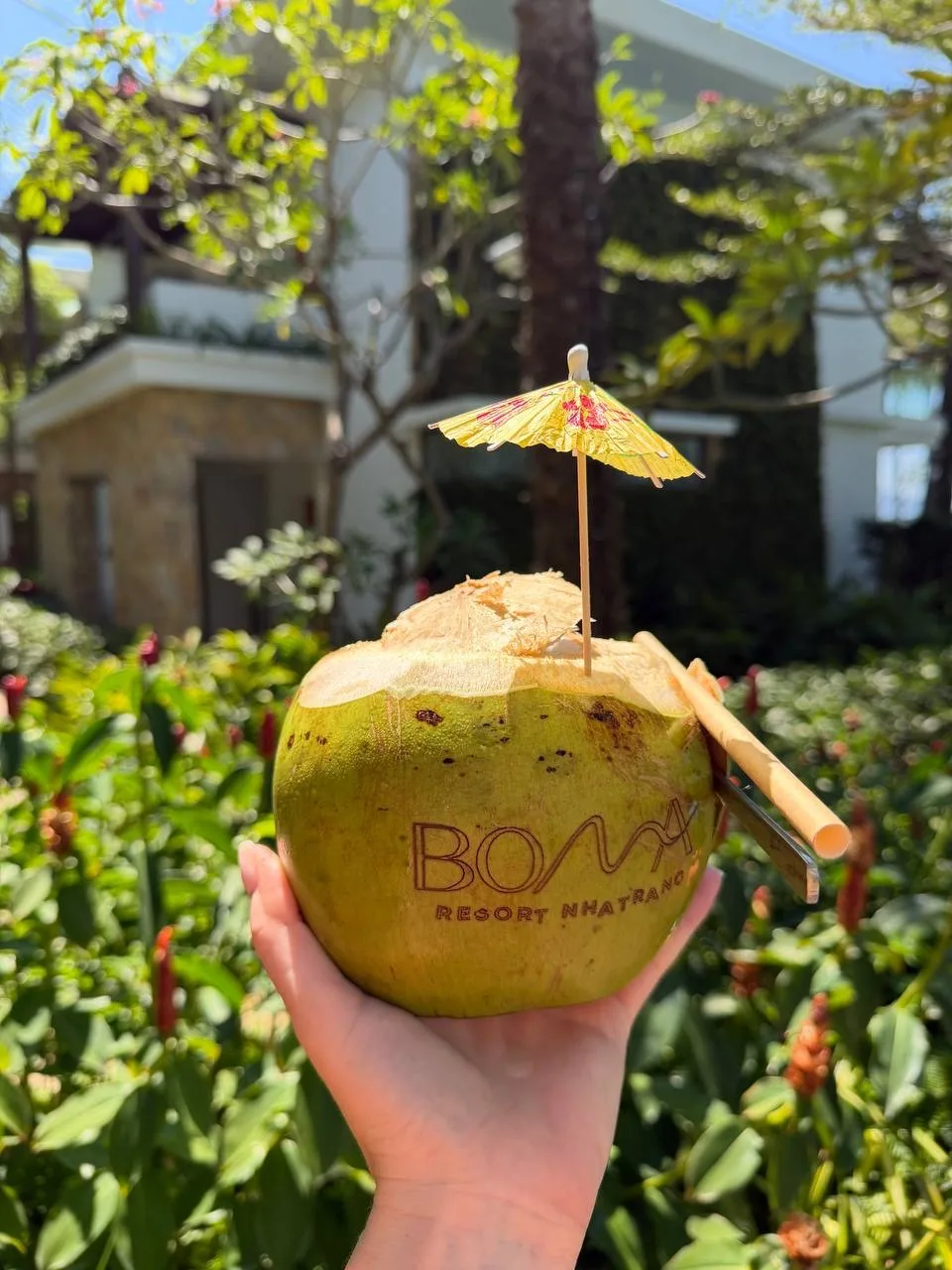 Туристы возвращаются из Boma Resort Nha Trang действительно под впечатлением ☝️

тот самый отель, гд