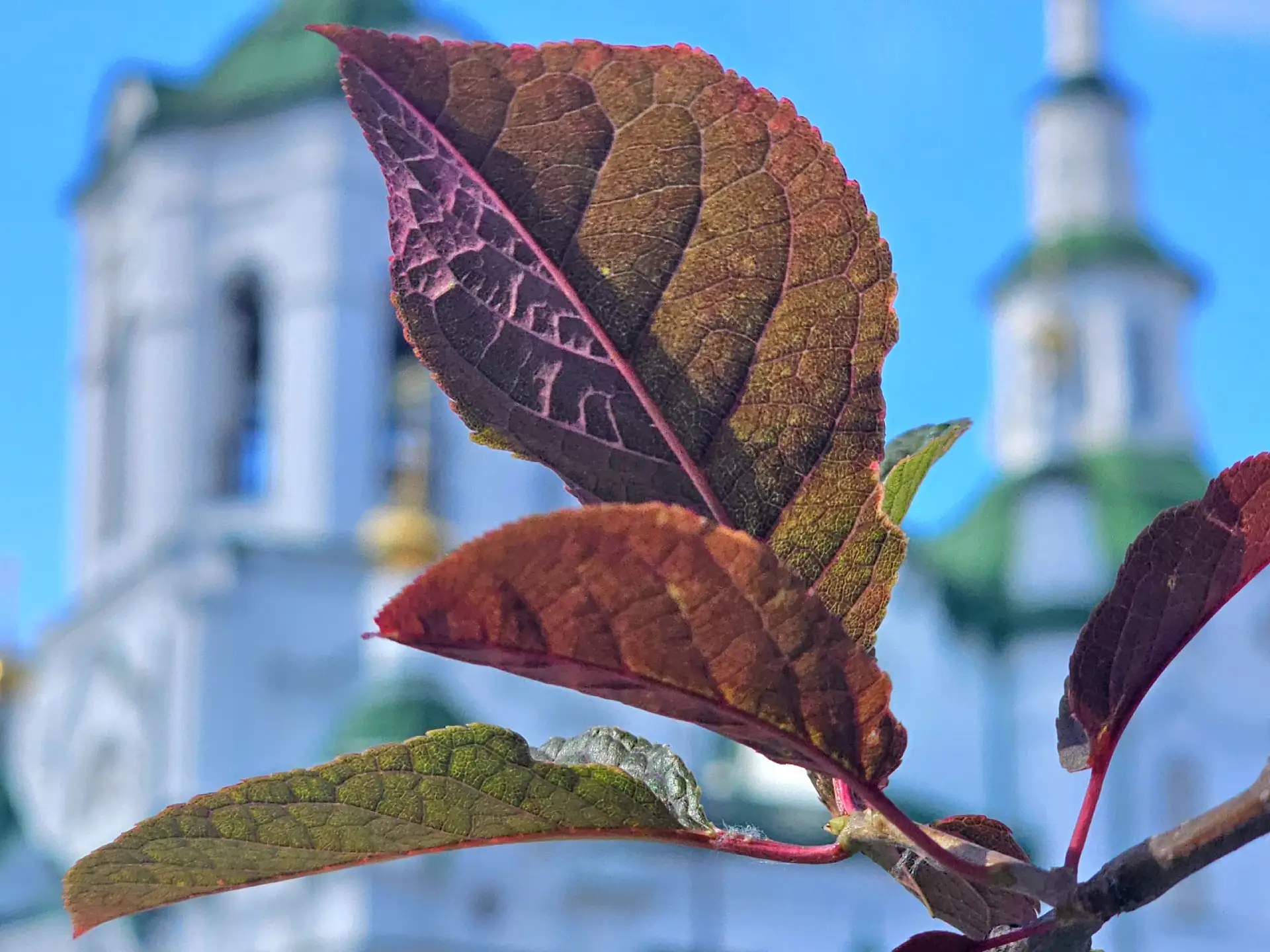 Доброе утро! 😍

Сейчас в Тюмени +21 градус.

Сегодня ожидается облачная погода, во второй половине 