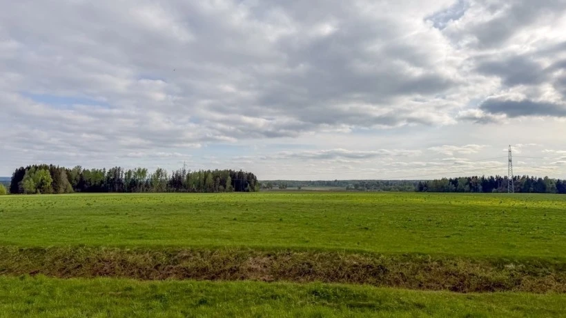 Участок под ИЖС в Богородском округе сдали в аренду в 11 раз дороже старта — за 5,7 млн рублей в год
