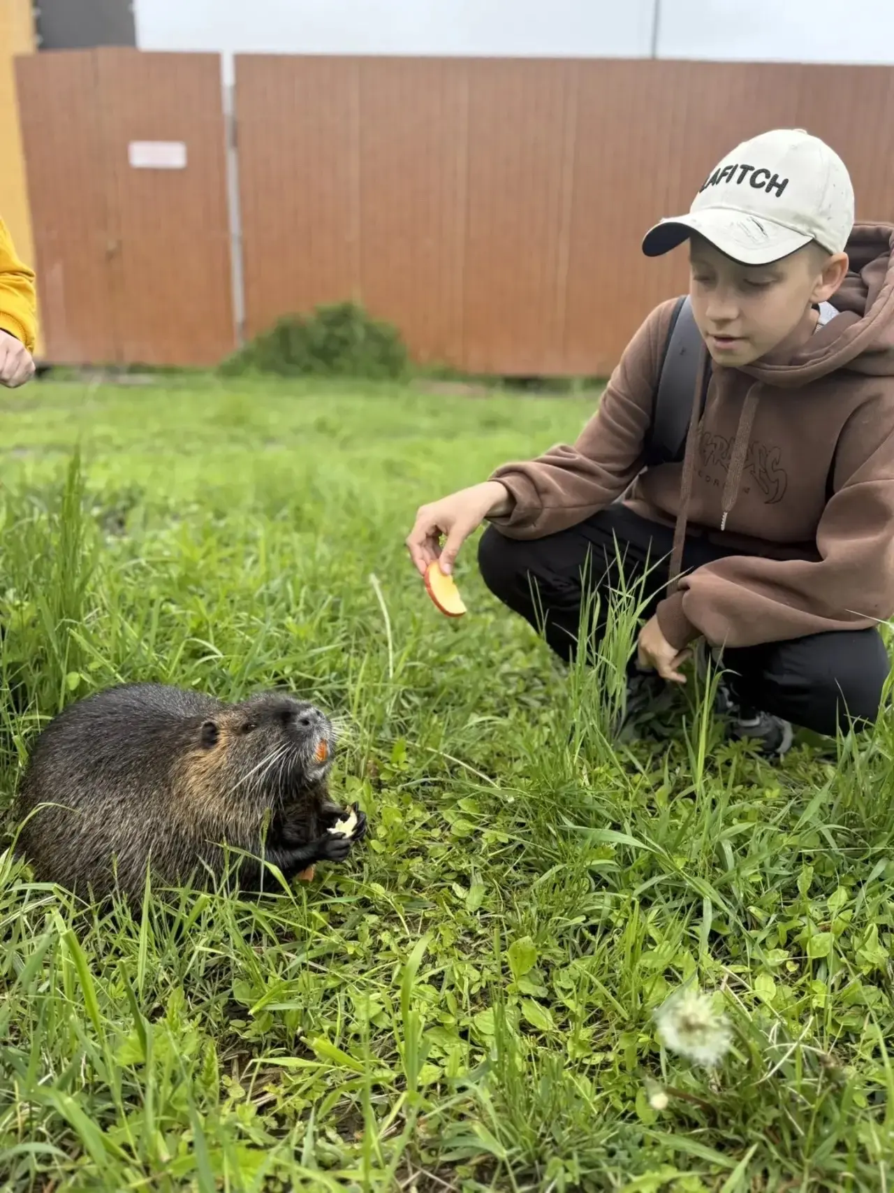 🦁Пришкольный лагерь «Синяя птица» наладил контакт с братьями нашими меньшими👌 9 июня ребята вместе