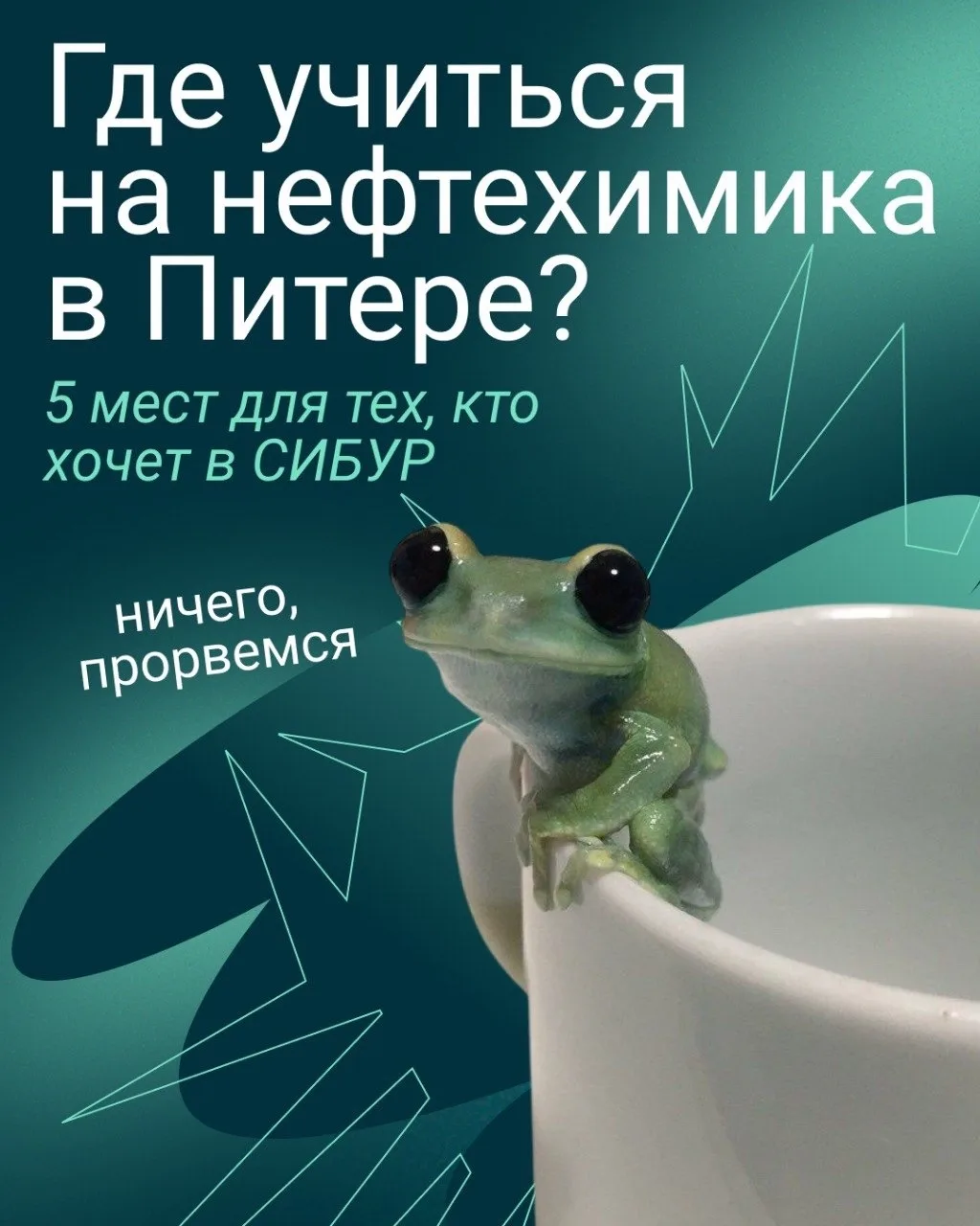 По просьбам поступающих:

Собрали подборку вузов и ссузов Питера для тех, кто хочет работать в нефте
