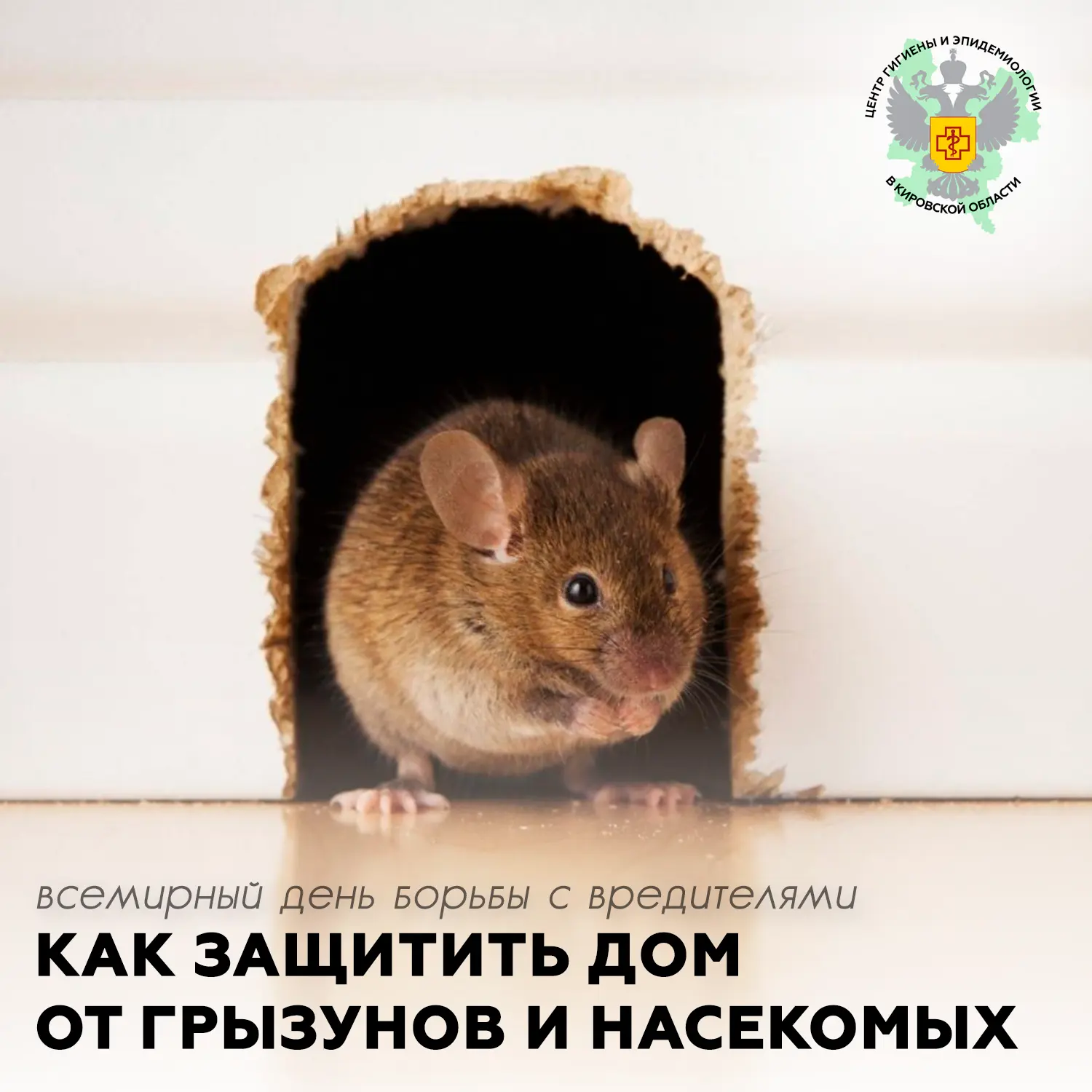 📅 Всемирный день борьбы с вредителями отмечается ежегодно 6 июня. Напомним о важности постоянной пр