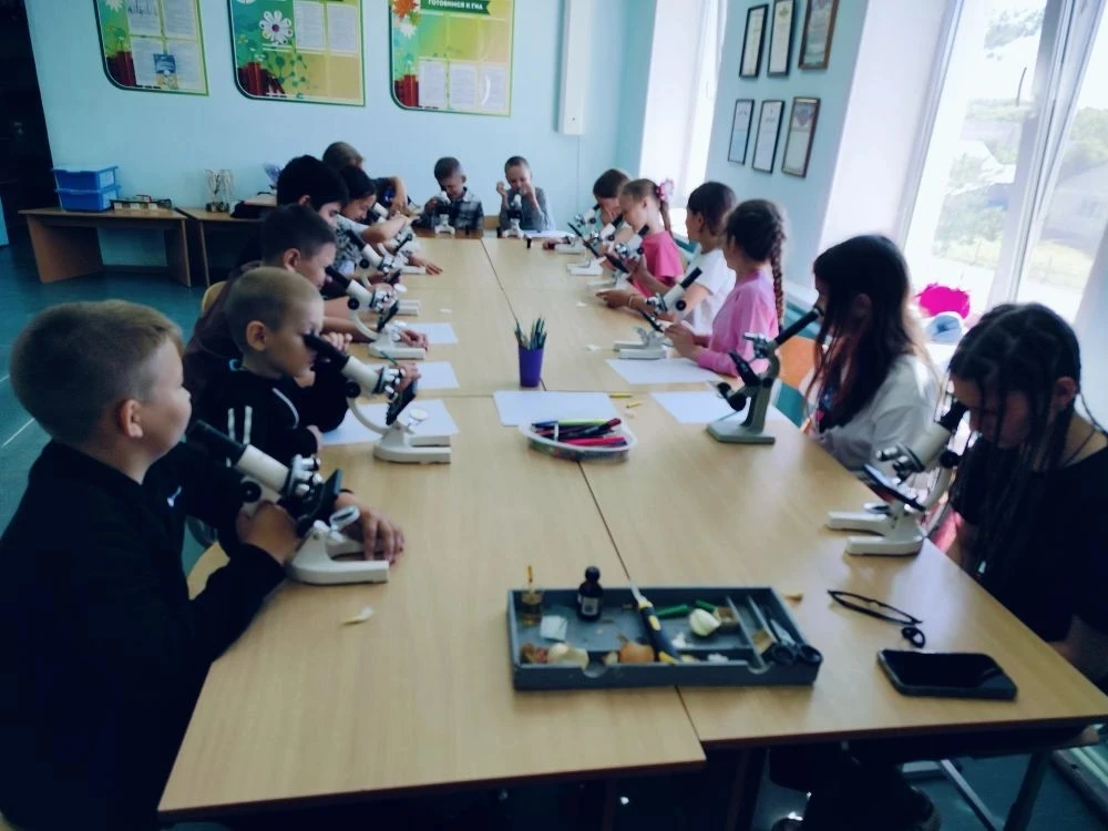 ✨ Сегодня на площадке кратковременного пребывания детей прошёл насыщенный и познавательный день!

Юн
