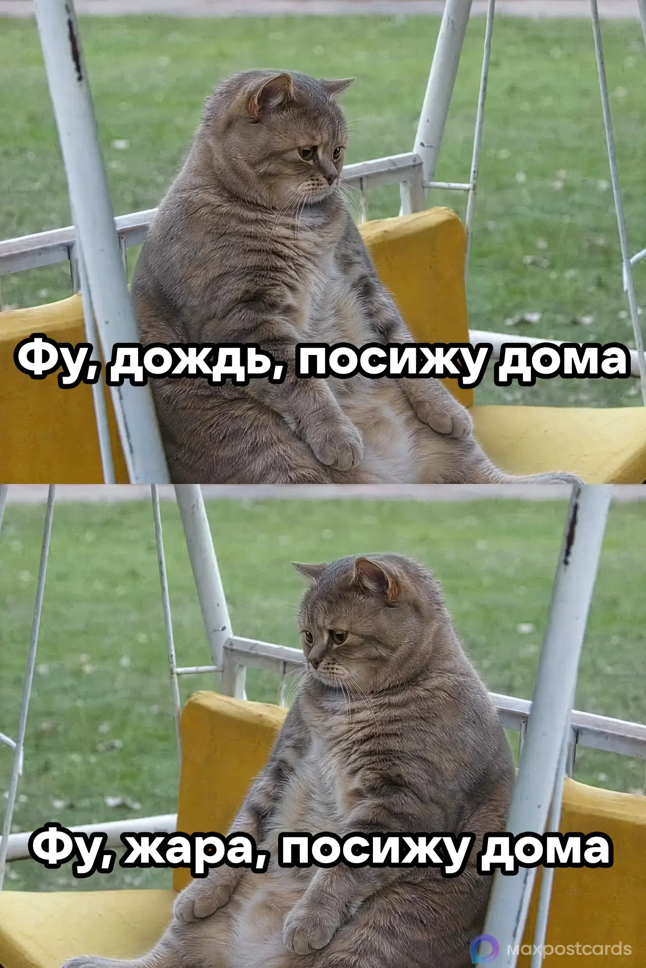 Всегда найду причину 😃

👉 Открытки в MAX – подписывайтесь
