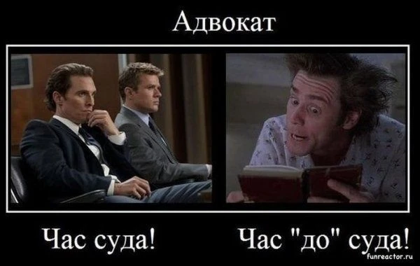 #Юридический_юмор