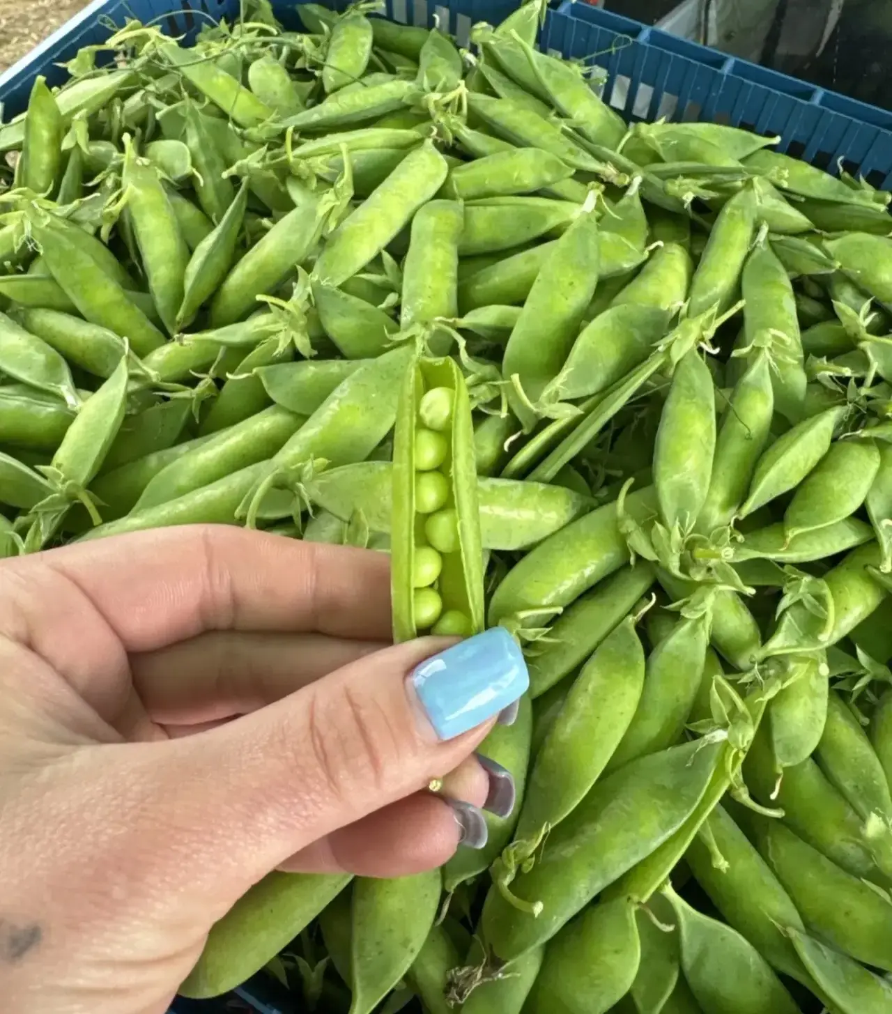 😍🤤