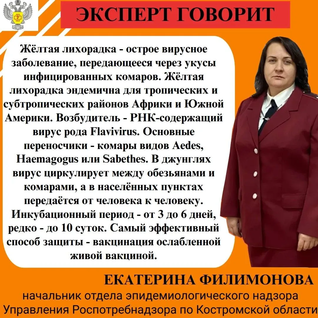 Сегодня наш эксперт расскажет  про инфекционное заболевание желтая лихорадка