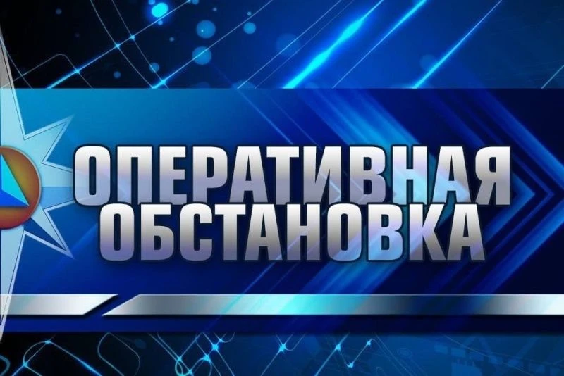За период с 08.06.2026 по 14.06.2026 на территории Дзержинско - Тасеевского муниципального округа за