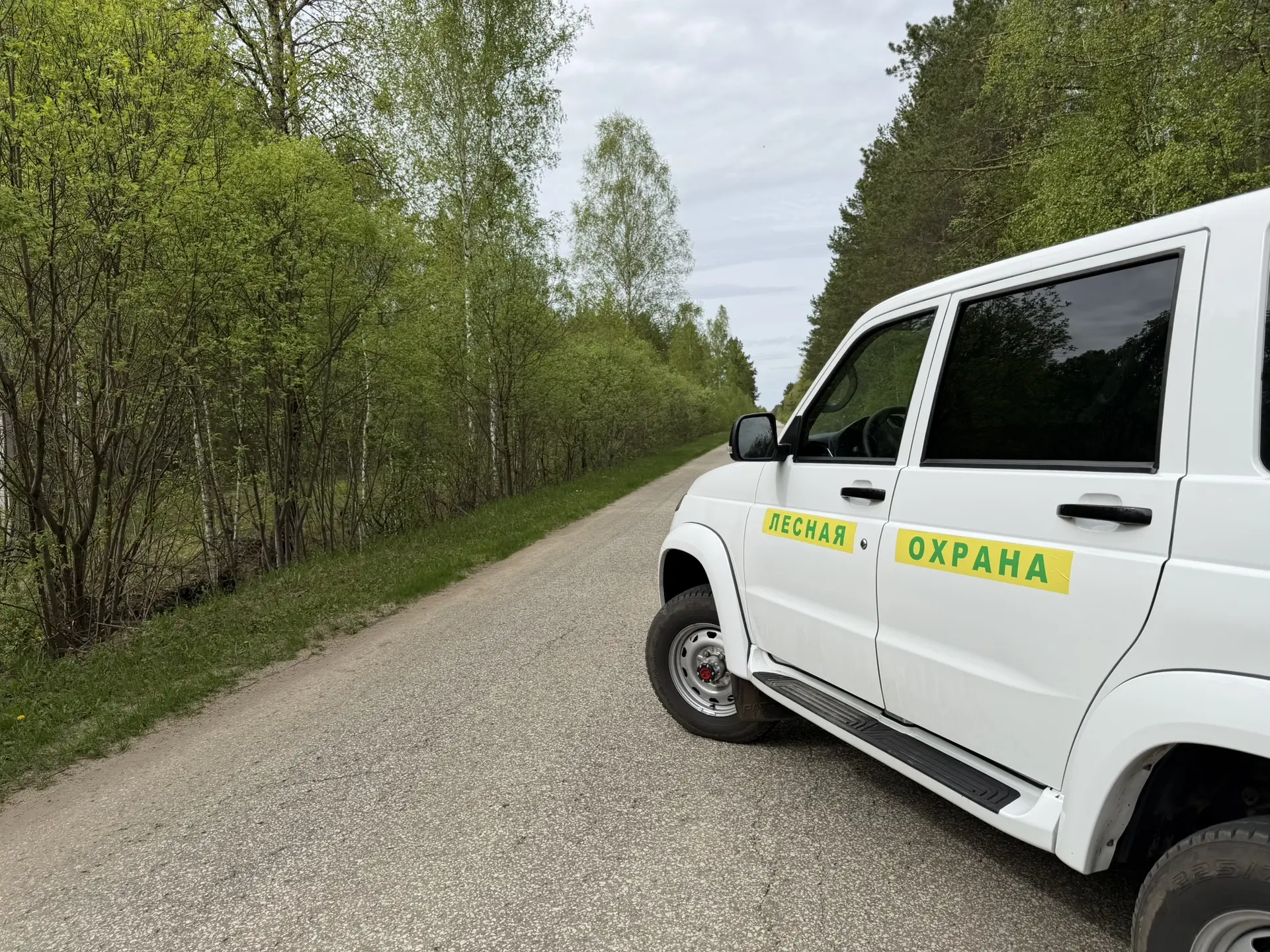 🌳 Ковылкинское территориальное лесничество: леса под надёжной охраной👮‍♂️

Лесная охрана Ковылкинс