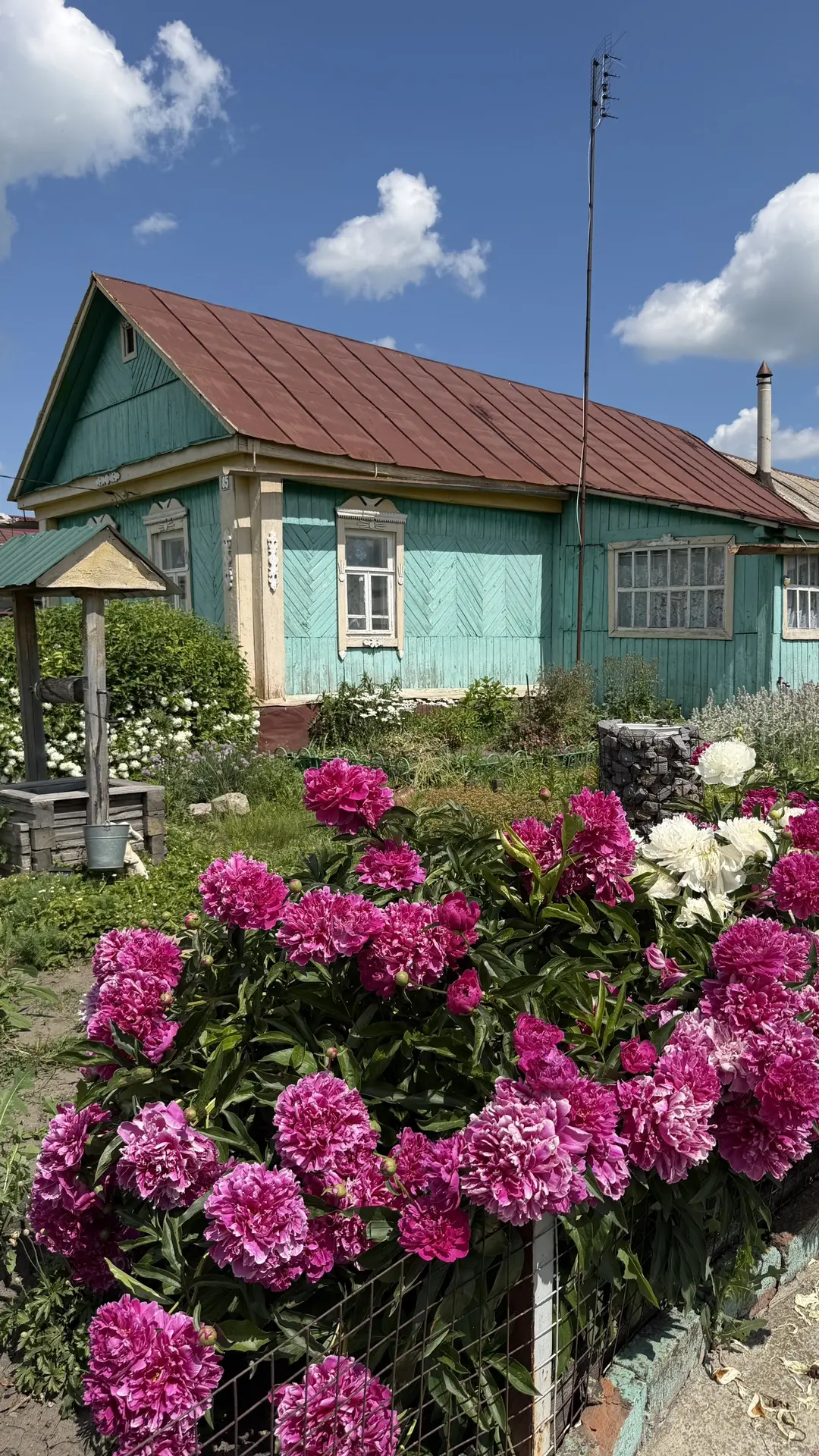 Доброе утро деревенское, витамины под окном🍓, только не ленись собирай🌾🤗