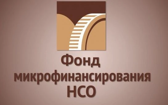 Фонд микрофинансирования НСО извещает, что в мае-июне 2026г исполнительной дирекцией Фонда одобрены 