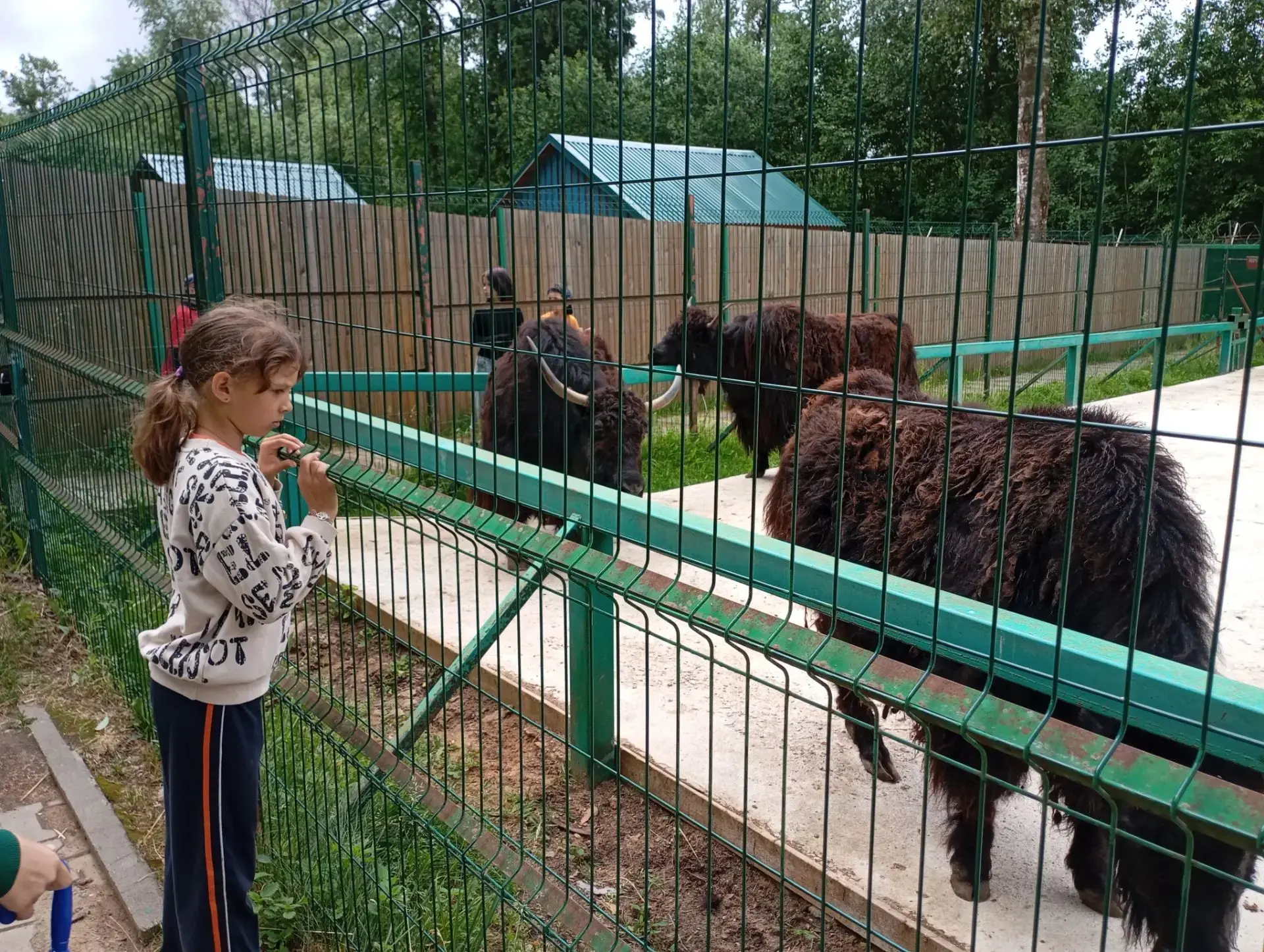 Летние каникулы продолжаются! И сегодня мы совершили замечательную экскурсию в Костромской зоопарк. 