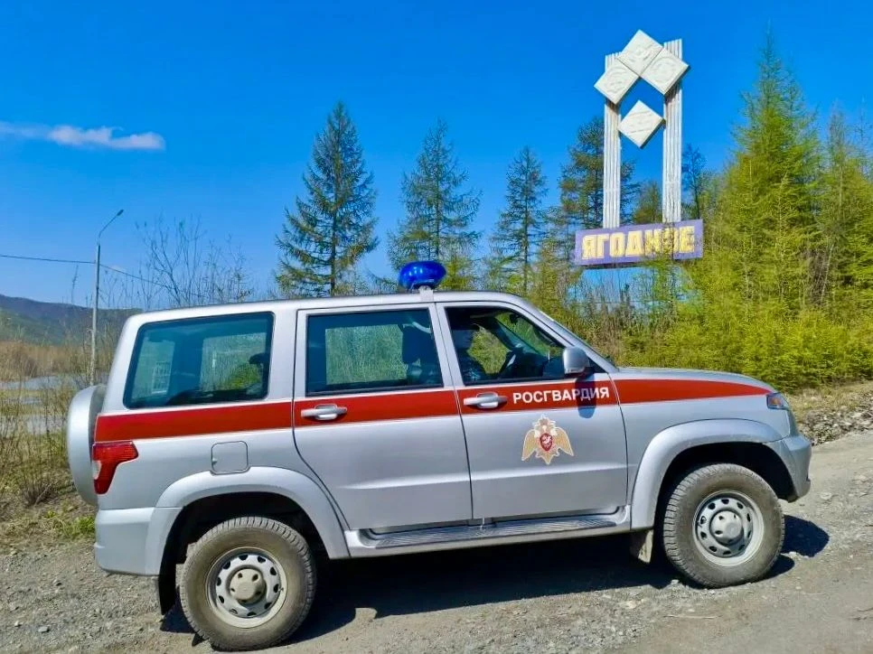 🚨Трава молчала, деревья в шоке. Но высказался суд  

🌳Инцидент произошел в п. Ягодное Магаданской 