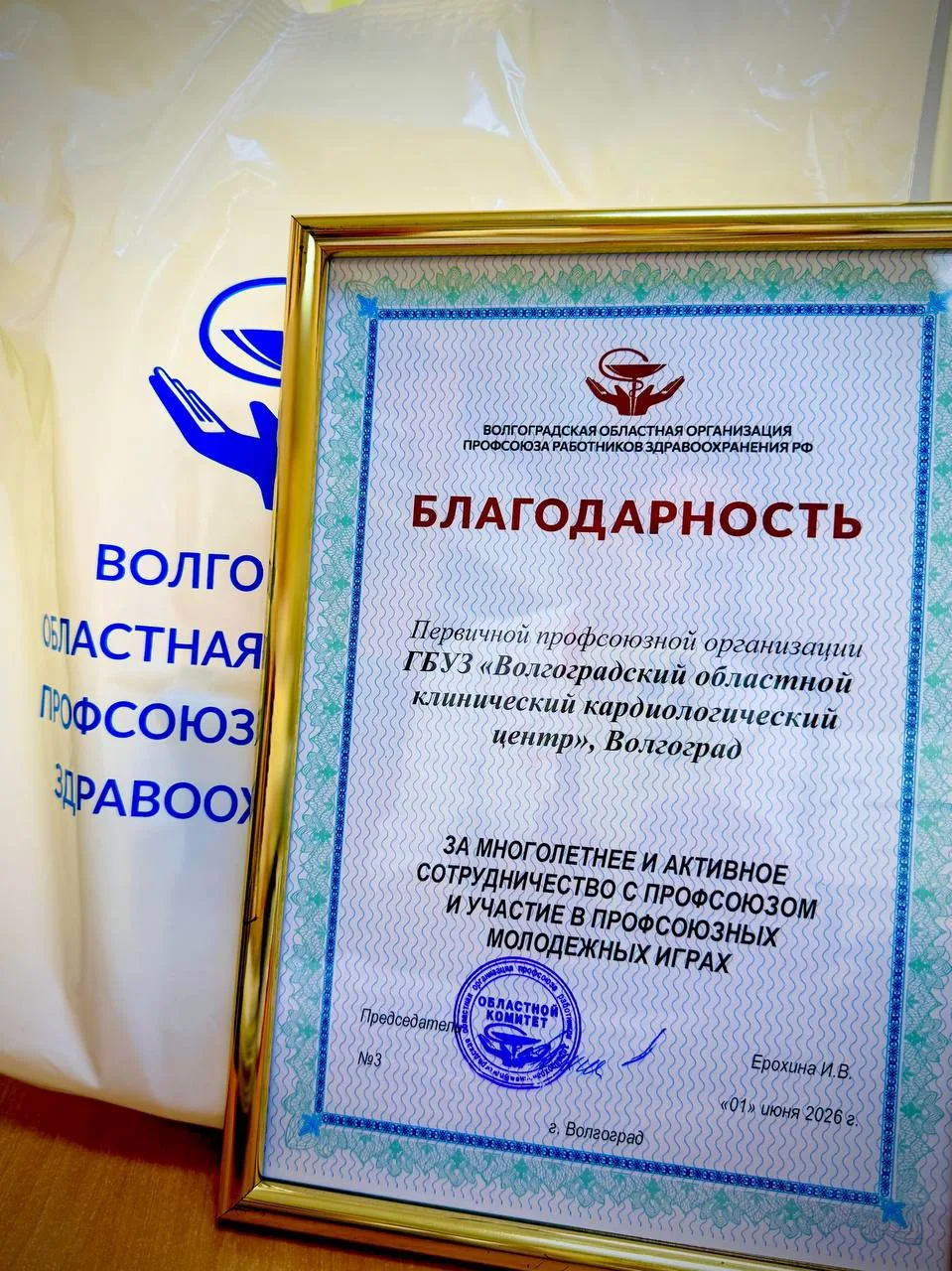 🏆  В Волгограде состоялся II Пленум областной организации Профсоюза работников здравоохранения РФ, 