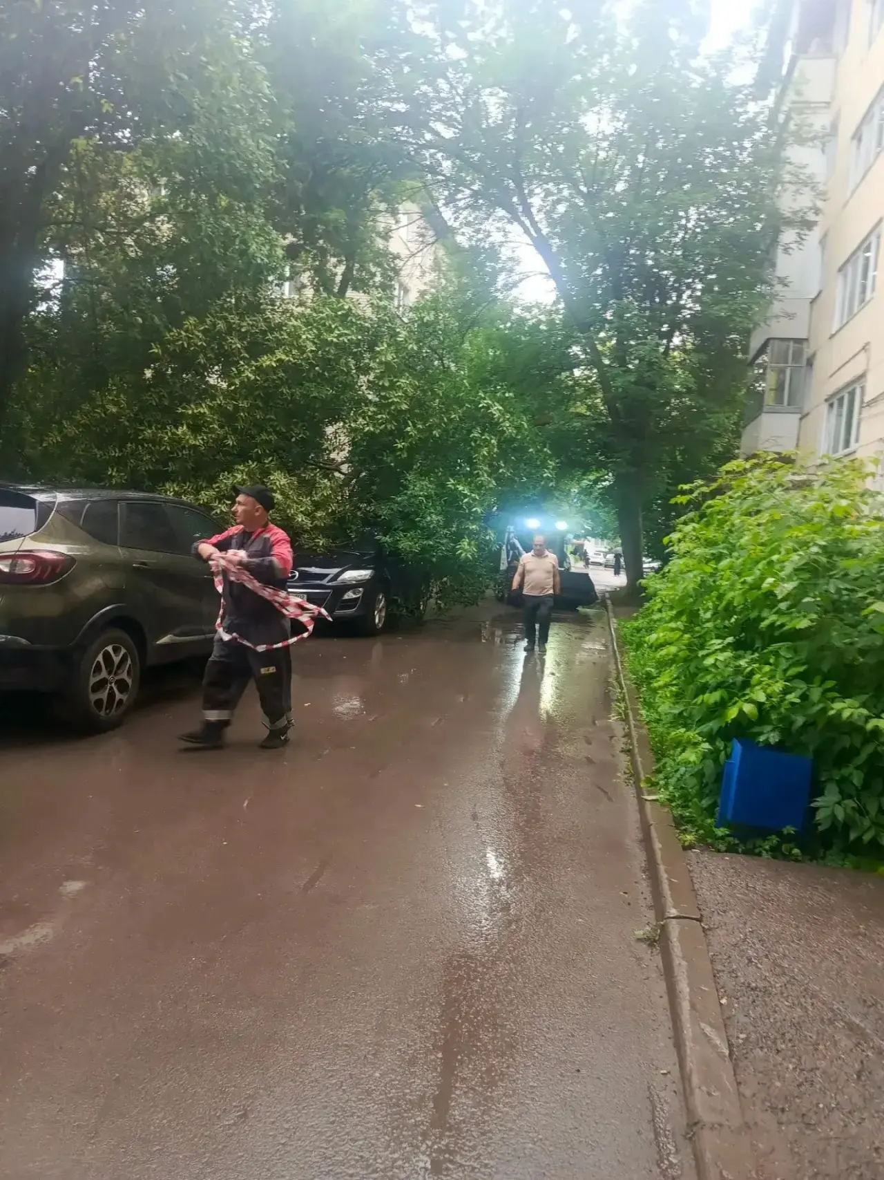 Автор: Сегодня днем возле проспекта октября 24/2 дерево упало на автомобиль