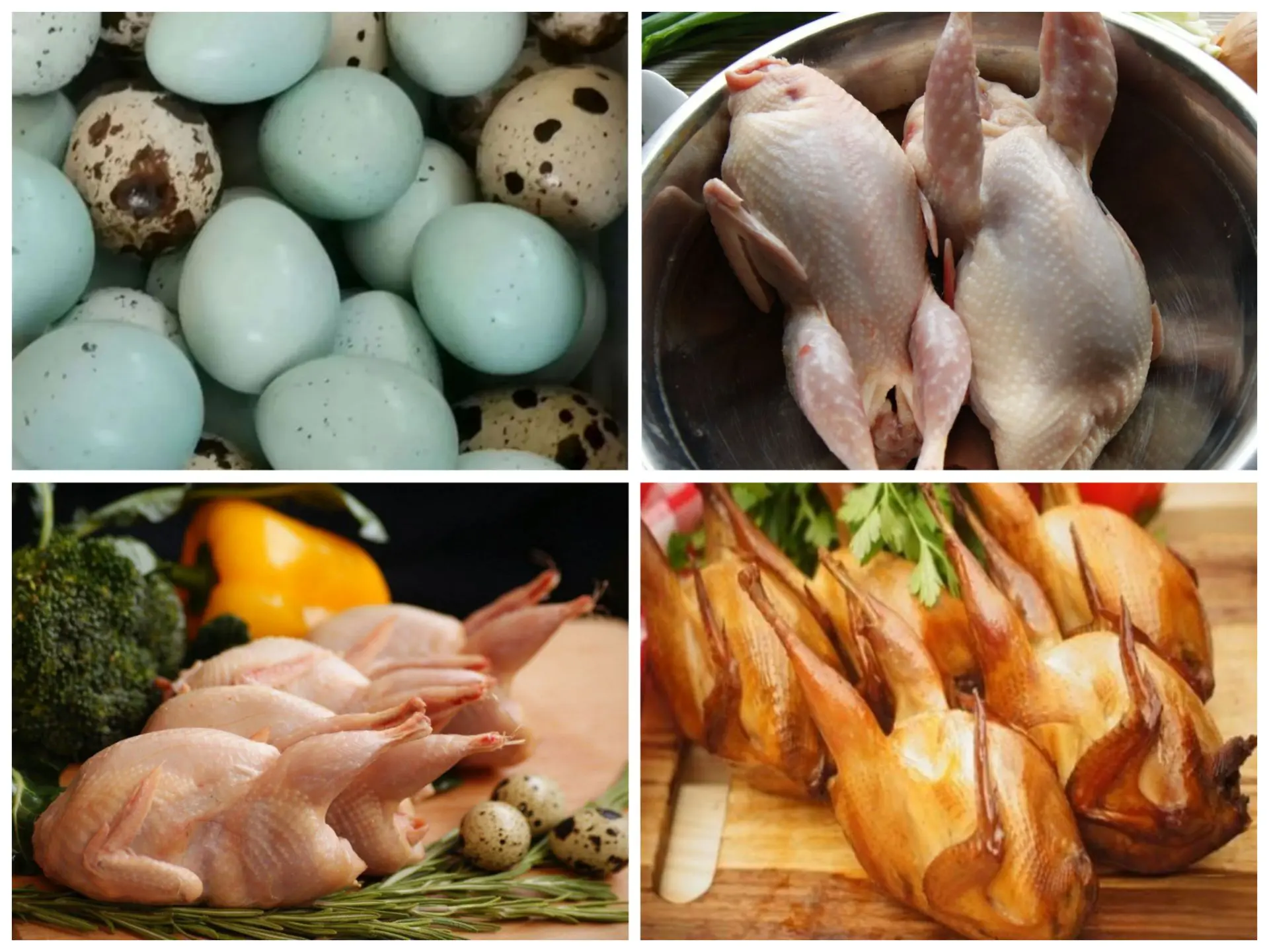 Всем доброго дня!
Предлагаю на продажу со своего хозяйства мясо молоденьких перепелов - 800р кг.
Коп
