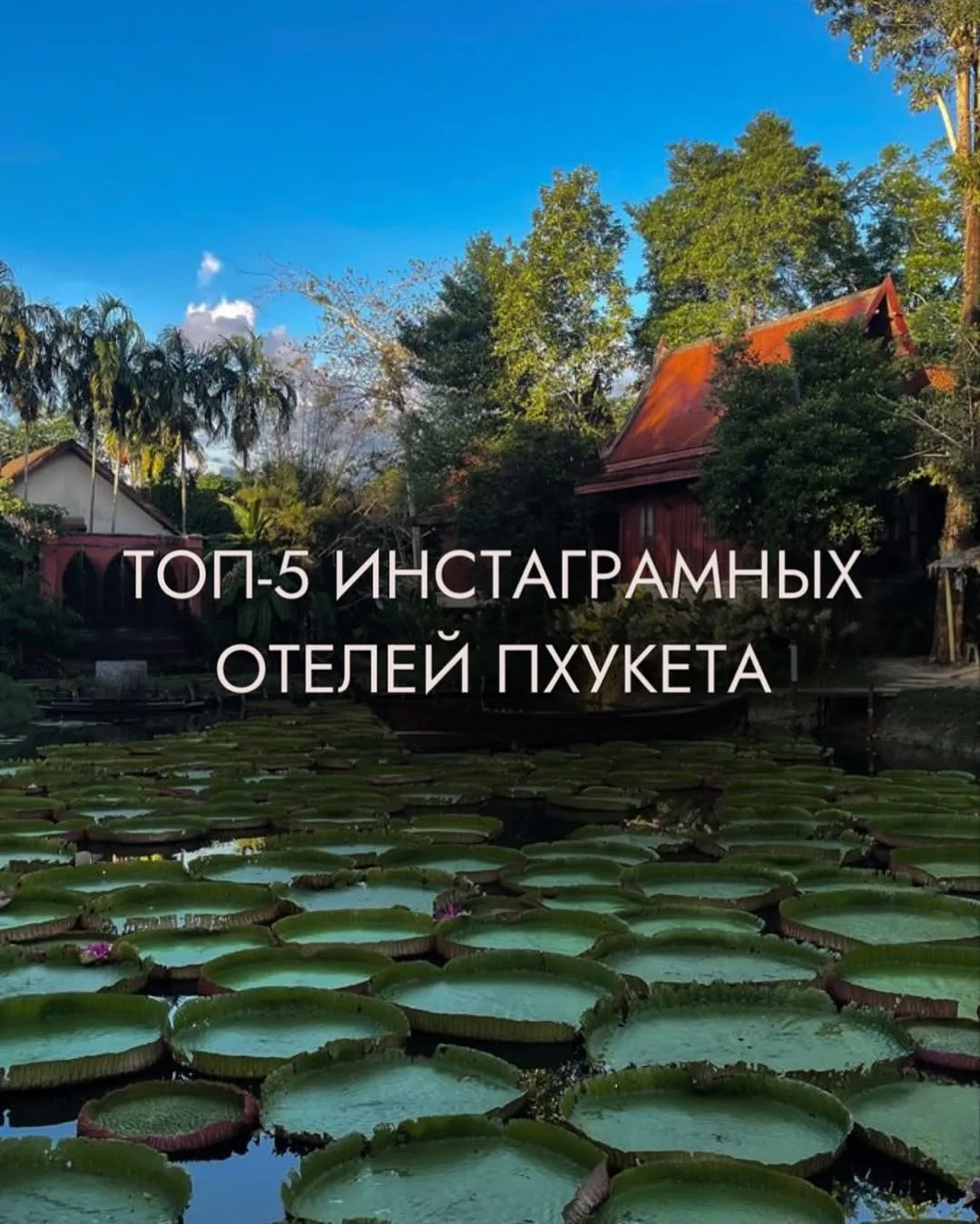 🌴 ПХУКЕТ ЛЕТОМ — ИДЕАЛЬНЫЙ ОТПУСК ПО ВЫГОДНОЙ ЦЕНЕ!🌴

💭 Мечтаете о море, белоснежных пляжах и нас