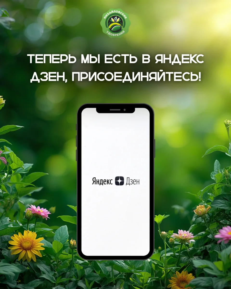 Мы появились в Яндекс Дзен 🤍

Если вам нравятся наши посты, советы и полезные материалы — теперь 