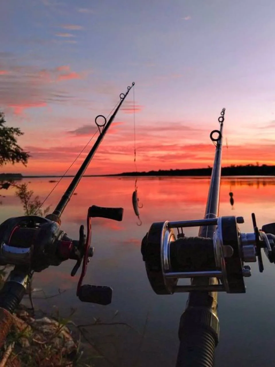 🎣 Топ мест для рыбалки в Москве и области

📍 Истринское водохранилище
Щука, окунь, лещ.

📍 Чёрное