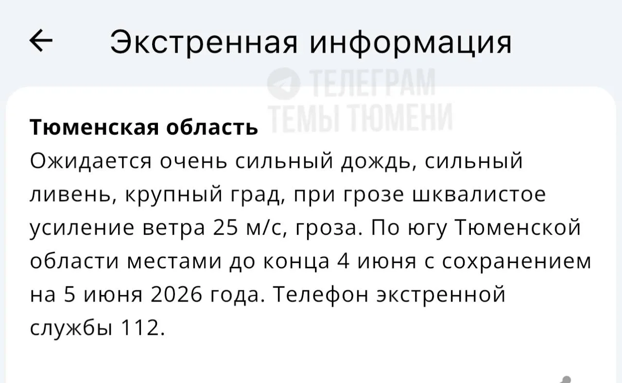 Штормовое предупреждение объявили в Тюменской области.

До конца сегодняшнего дня и с сохранением на