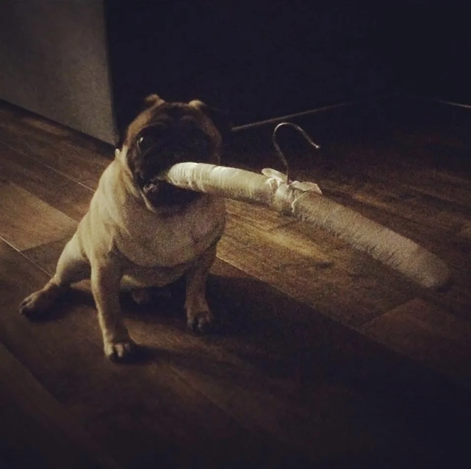 запомните этот день, сегодня вам повезло. 
удивительно, необычайно.
вы увидели не просто фотографию 