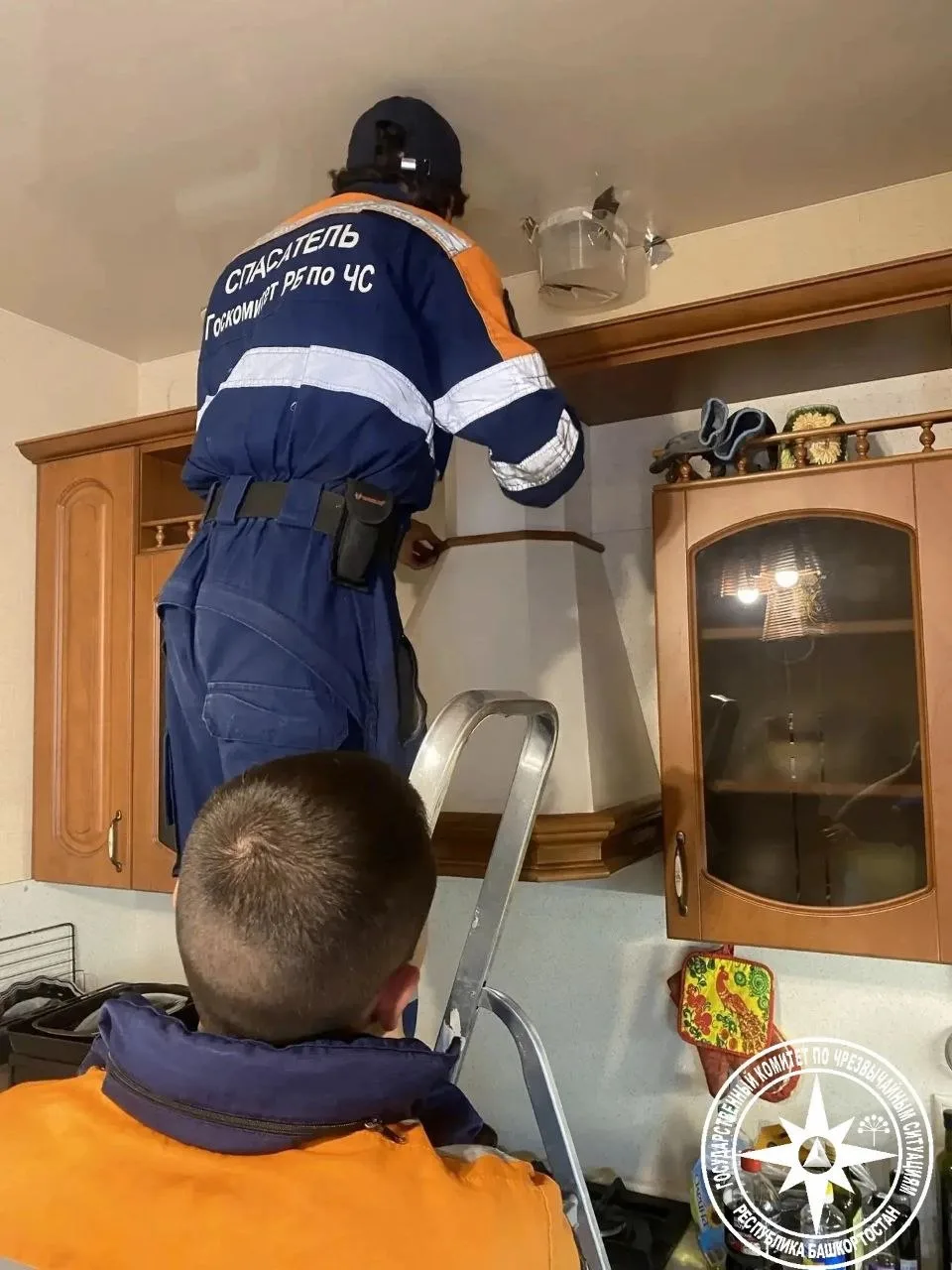 🐦 В Уфимском районе спасли стрижа, застрявшего в вентиляции

Жители одного из домов вызвали спасате