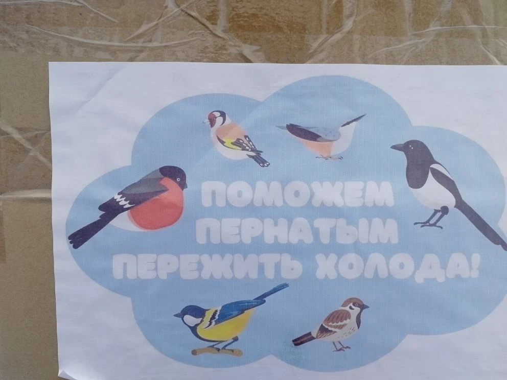 Покормили птичек в Парке культуры и отдыха! 

Вчера у нас с ребятами был просто супердень! Ходили в 