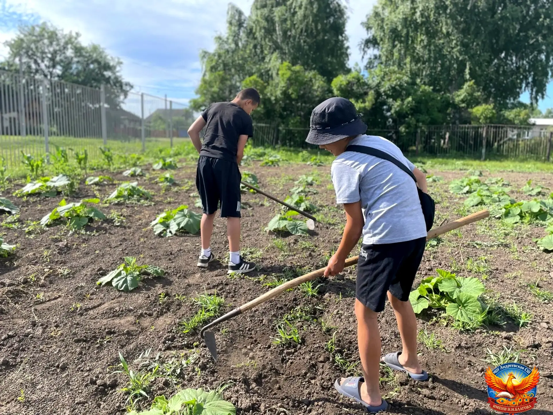 🌾☀️ Трудовая практика на пришкольном участке в самом разгаре! ☀️🌾

Наши юные помощники с энтузиазм