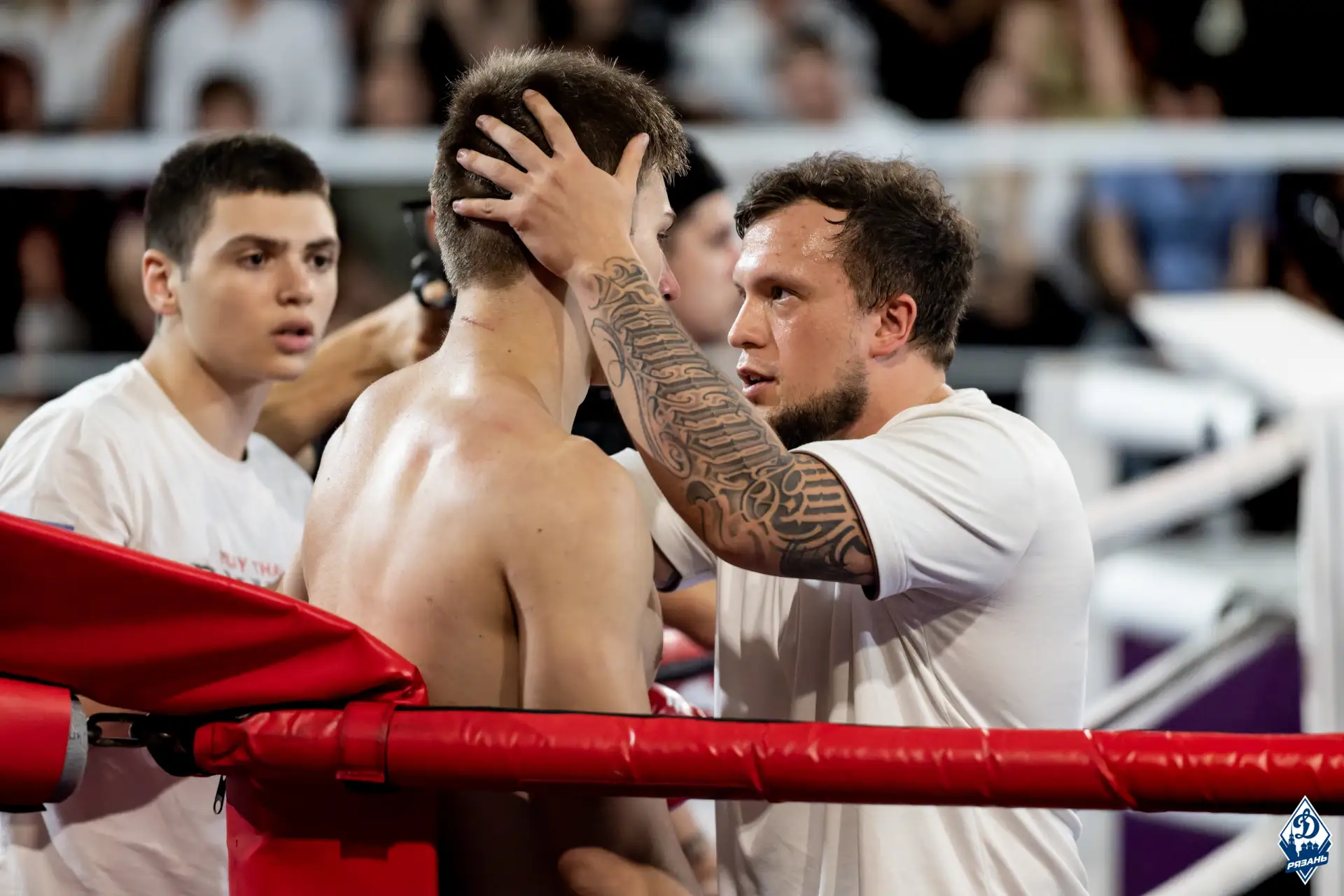 ‼ МУАЙТАЙ

🤼‍♂ В минувшие выходные в Лесопарк Рязань прошел Турнир по муайтай "Изумрудная Лига" Лет