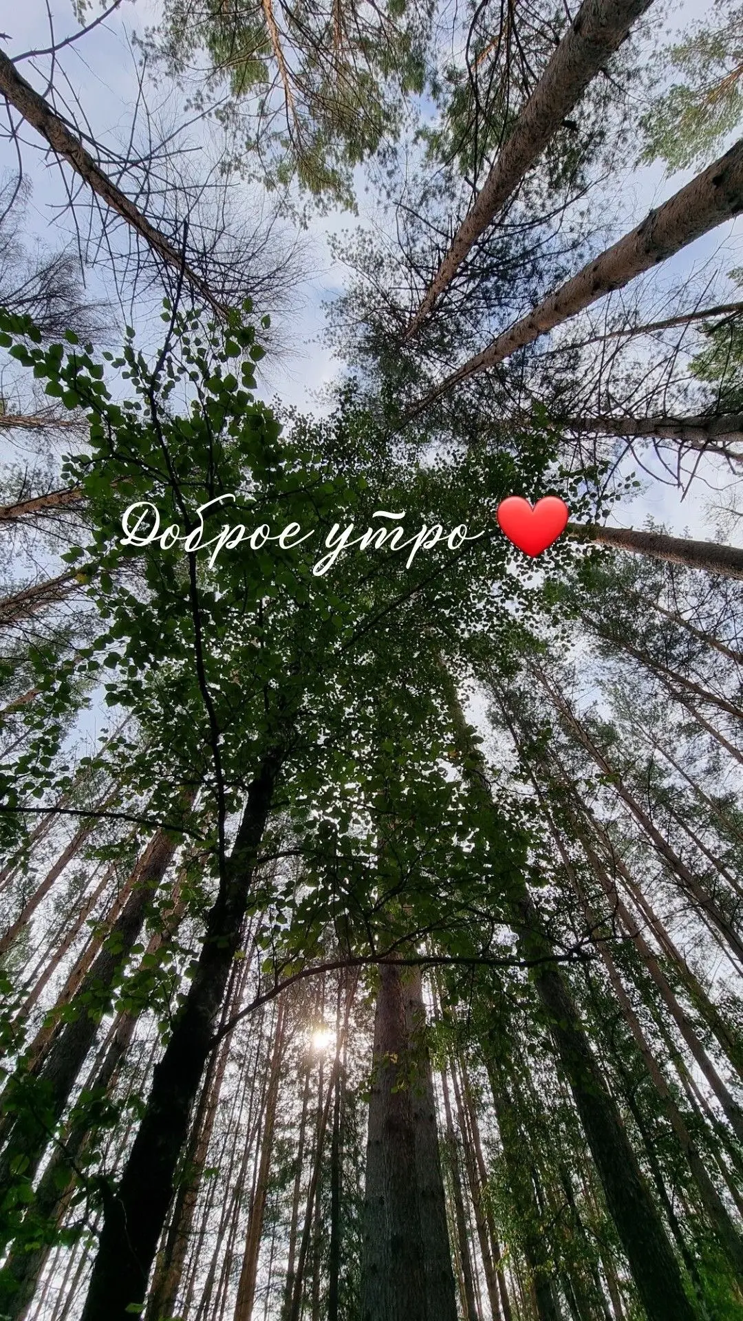 Доброе утро, дорогие подписчики 

У нас наконец-то спала жара, мои мозги не плавятся и можно что-то 