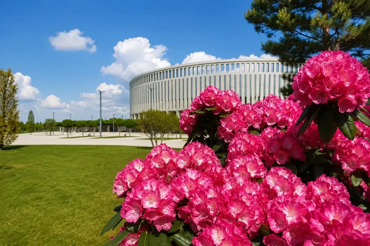 ☀️ Доброе утро, Краснодар!
📅 30 июля, четверг
 
🌤 Погода на сегодня:
🌅 Утром: +17°C
🌦️ Днём: 28°