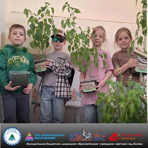 Настоящий огородный квест: от рассады до грядки

Пришло долгожданное тепло — а это значит, что пора 