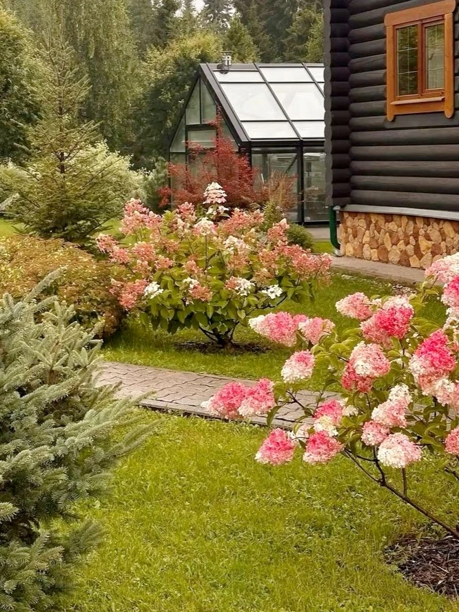 ГОРТЕНЗИИ В САДУ... Фото из интернета для вдохновения ✨

ДАЧНИЦА Svetasaratov