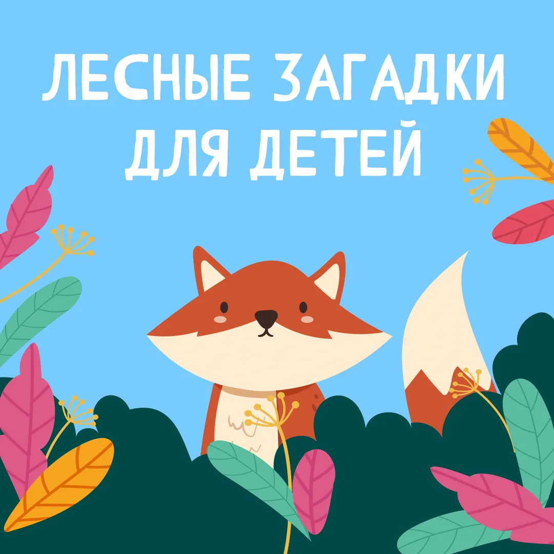 А вы любите лес?

Летний, зеленый, благоухающий травами и цветами. А сколько в нем загадок! Попробуй