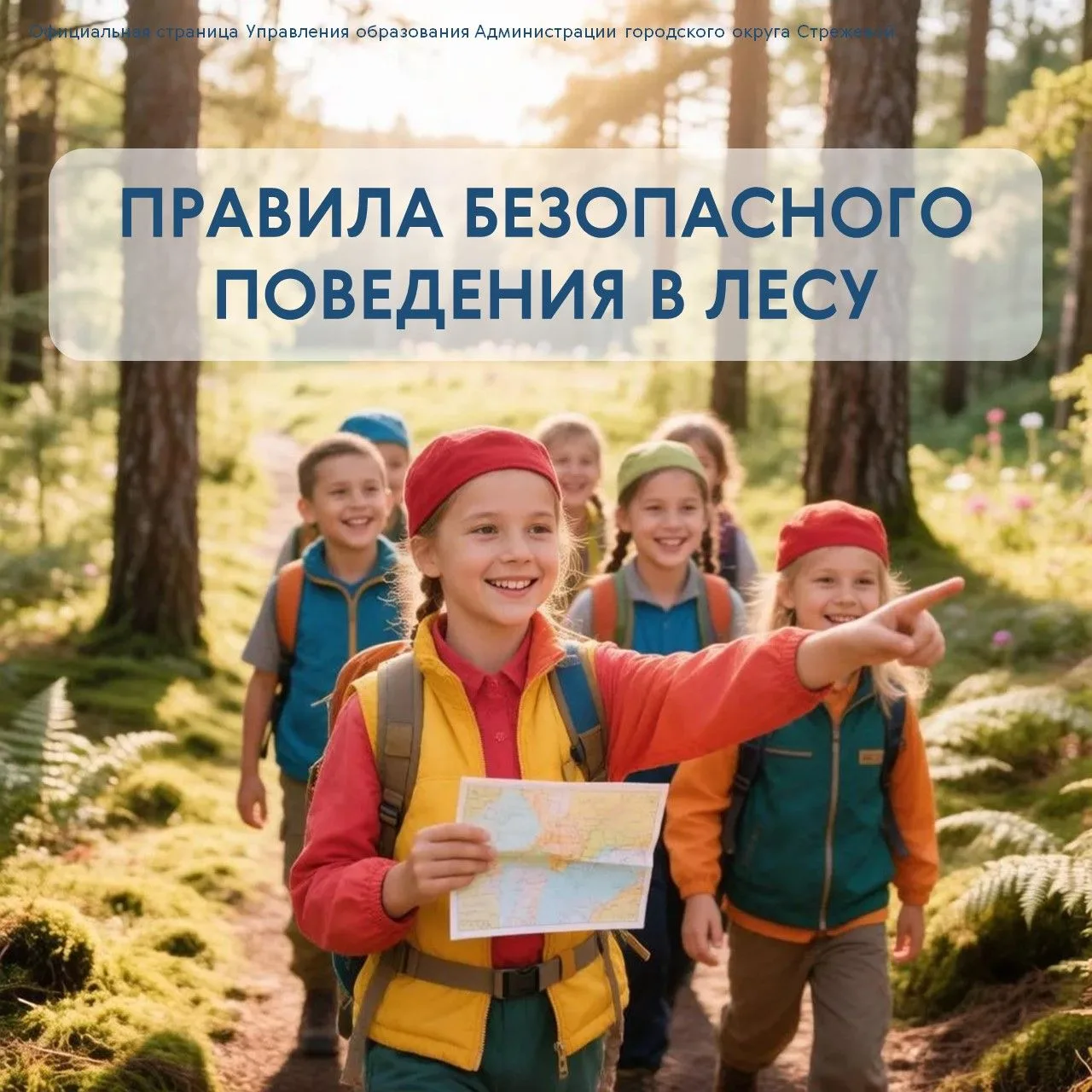 ❗️Правила безопасного поведения в лесу для детей — это простые, но важные правила, которые помогут и