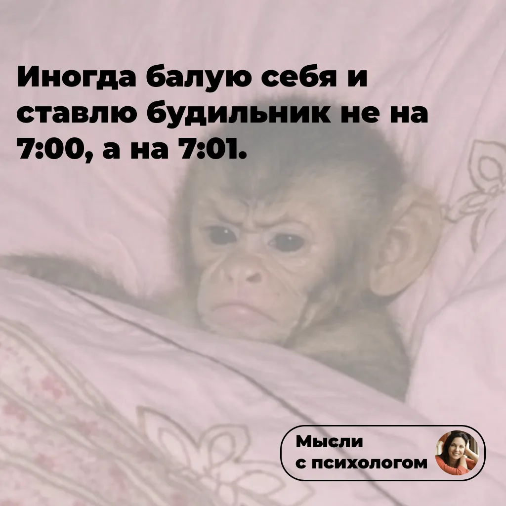 Доброе утро, дорогие! Надеюсь, вы сегодня выспались🥰

👉 ссылка на мой блог